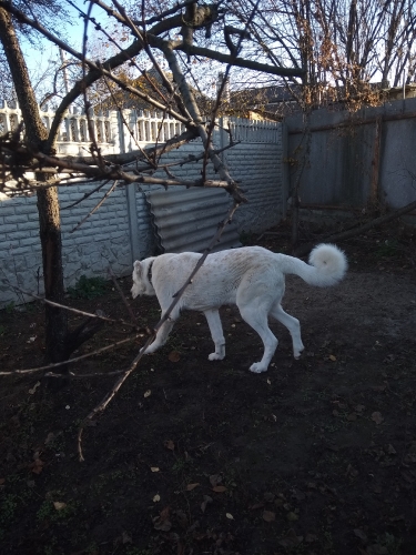 гости